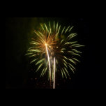 Green and Gold Fireworks Print