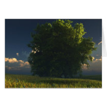 tree, prairie, clouds, landscape, Card with custom graphic design