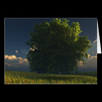 Green and Gold Greeting Card cards