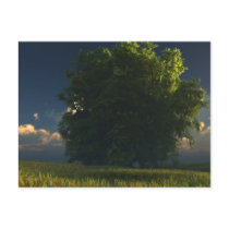 Green and Gold Postcard by digitalblasphemy Green and Gold Postcard
