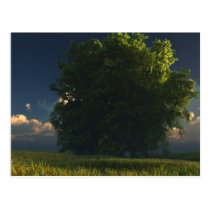 tree, prairie, clouds, landscape, desktop wallpaper, Postcard with custom graphic design