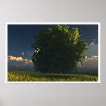 tree, prairie, clouds, landscape, nature posters, desktop wallpaper, Poster with custom graphic design
