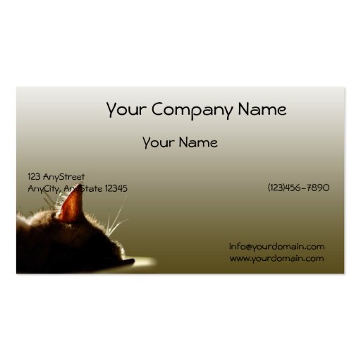 Green and Grey Cat Nap Business Cards (front side)
