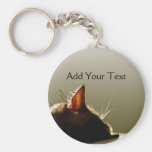 Green and Grey Cat Nap Keychains