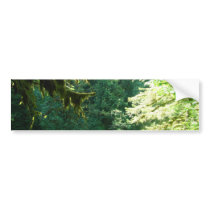Green and Lush Bumper Stickers