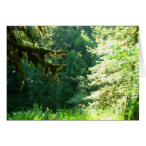 Green and Lush cards