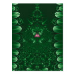 Green and Pink Post Card