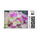 Green and Pink Postage