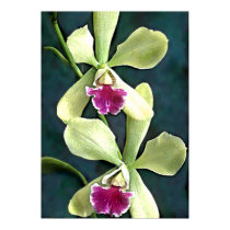 Green and Purple Orchids posters