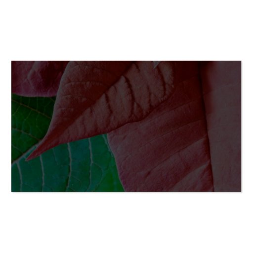 Green And Red Leaves Business Card Template (back side)