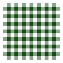 Green and White Gingham Pattern posters