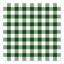 Green and White Gingham Pattern