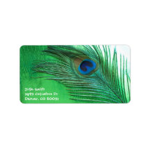 Green and White Peacock Feather Still Life Personalized Address Label