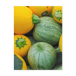 Green And Yellow Squash Post Card