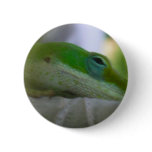 Green Anole Lizard buttons