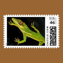 Green Anole stamps
