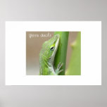 Green Anole posters
