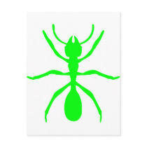 Green Ant postcards by Tomaniac Green Ant postcards