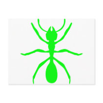 Green Ant postcards by Tomaniac Green Ant postcards