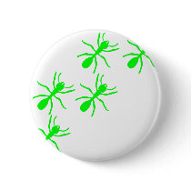 green ant trail buttons