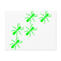 green ant trail postcards by Tomaniac green ant trail postcards