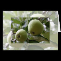 Green Apple Notecard cards