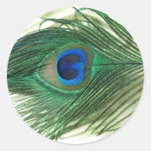 Green Apple Peacock Sill Life Sticker