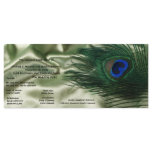 Green Apple Peacock Sill Life Wedding Program Custom Rack Cards