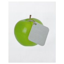 Green apple with metal tag personalized flyer