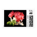 Green Apples And Peonies In A Teapot postage