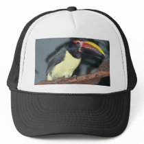 Green Aracari Toucan Holding Berry Hats