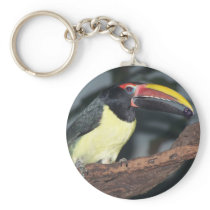 Green Aracari Toucan Holding Berry Keychains