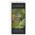 Green-backed heron in leaves personalized rack card