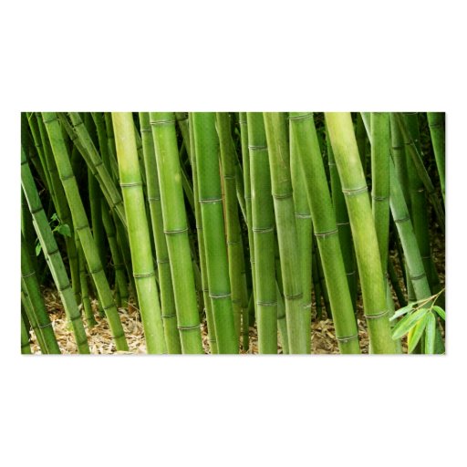 Green Bamboo Asian Business Card (back side)