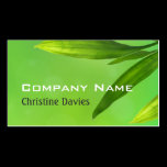Green bamboo business card business cards