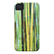 Green Bamboo iPhone 4 Case
