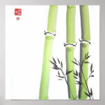Green Bamboo Stalks Canvas Print
