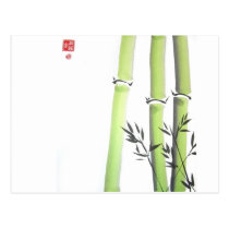 Green Bamboo Stalks Postcard postcards