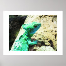 Green basilisk lizard print