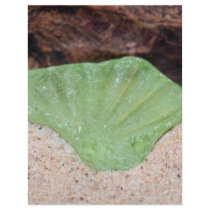 Green Beach Glass Flyers