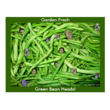 Green Bean Heads! Post Card