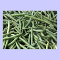 Green Beans profile cards