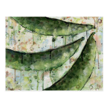 Green Beans Three Postcards