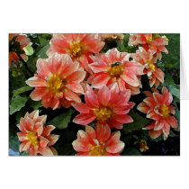 Green Bee on Dahlia cards by bchesley Green Bee on Dahlia cards