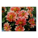 Green Bee on Dahlia cards