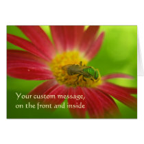 Green Bee & Painted Daisy Card cards