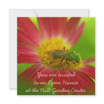 Green Bee & Pink Painted Daisy Personalized Invite