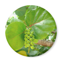 Green Berries magnets