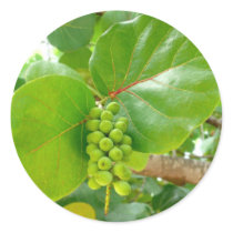 Green Berries stickers by AryadnaDesign Green Berries stickers