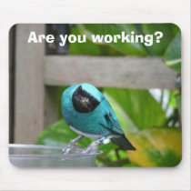green bird mousepads by bkang22 green bird mousepads